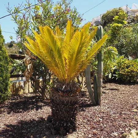 Finca Milagro アパート Santa Catalina